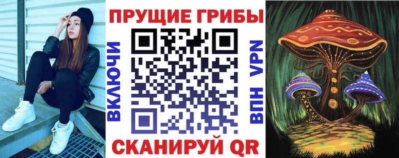 Псилоцибиновые грибы прущие грибы  Сургут 
