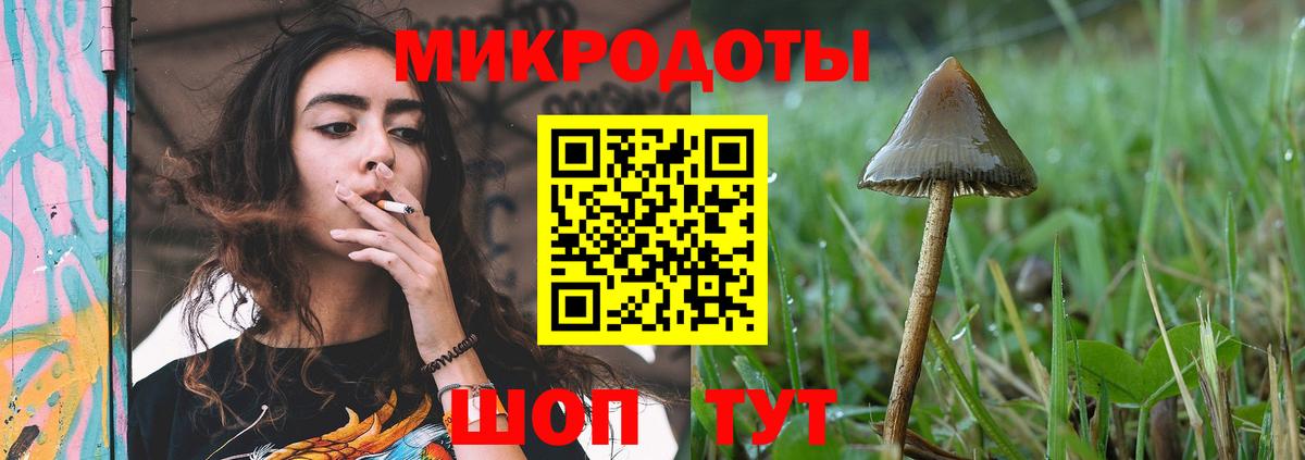 Псилоцибиновые грибы GOLDEN TEACHER  Вход с VPN  Сургут 